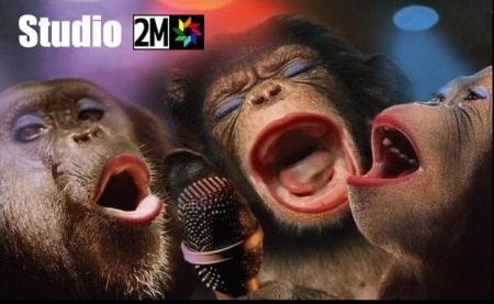 Studio Singes