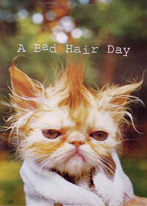 Bad Hair